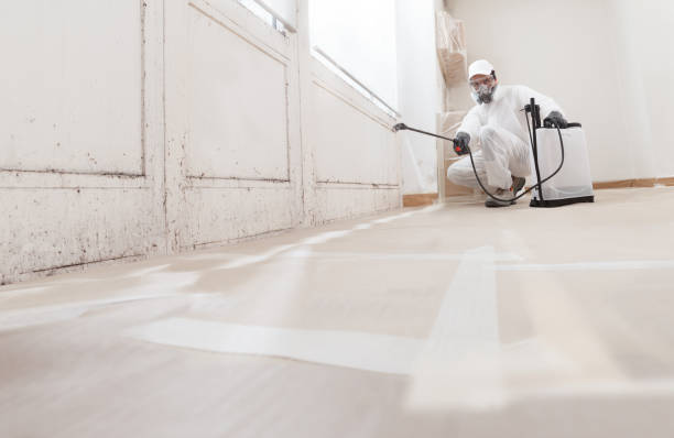 Post-remediation clearance in Scottsdale